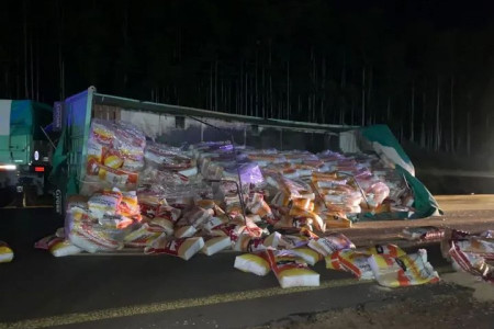 Volcó un camión cerca de Mocoretá y la Ruta Nacional 14 estuvo cortada